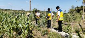 MONITORING REHABILITASI SALURAN IRIGASI PERTANIAN