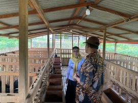 MONITORING DAN EVALUASI KETAPANG KAPANEWON WONOSARI DI BUMKAL KARANGTENGAH